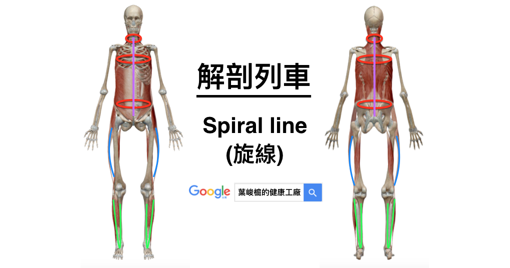 解剖列車 旋線 葉峻榳診所